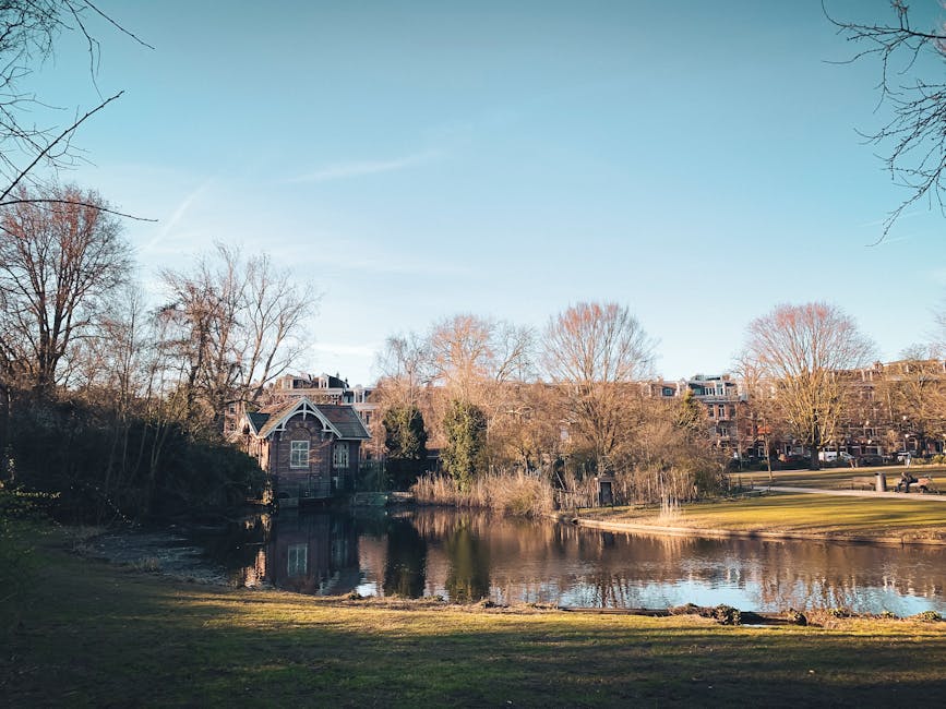 A serene outdoor scene featuring a small pond surrounded by leafless trees and lush grassy areas. In the background, there are charming residential buildings with traditional architecture, including g