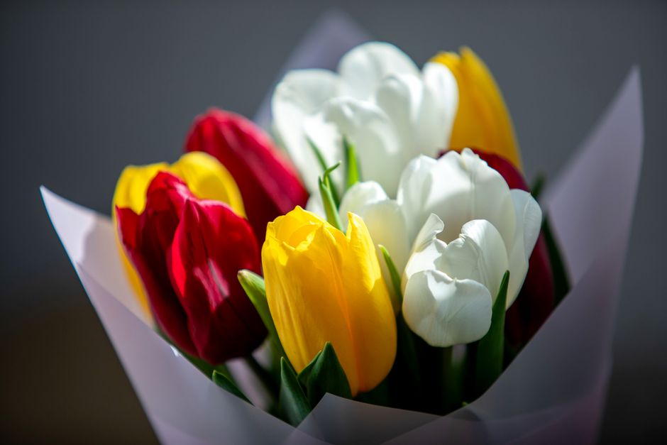 A bouquet of fresh tulips featuring red, yellow, and white blossoms, arranged with green stems and leaves. The flowers are wrapped in white paper with folded edges, and some petals appear smooth and d