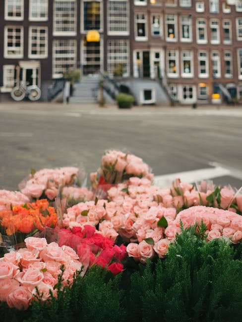 A vibrant display of fresh flowers arranged in a florist's shop window, featuring light pink roses, vivid red and pink carnations, and lush green foliage at the base. The bouquet is wrapped in transpa