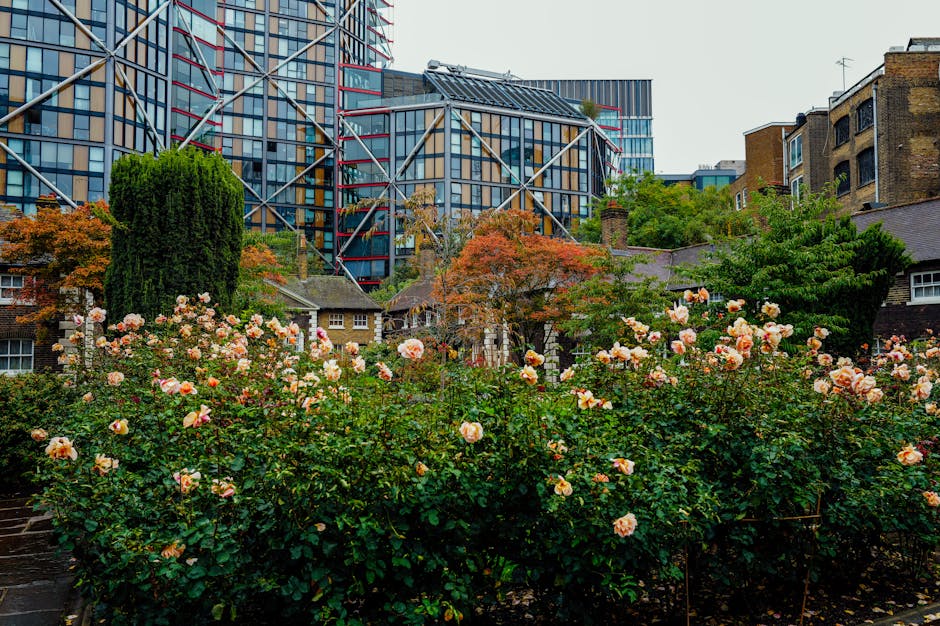 A lush floral display of blooming roses in soft pink and peach tones, densely packed and arranged in a garden bed, with petals slightly ruffled and fresh green foliage surrounding them. The flowers ar